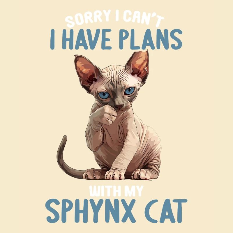 Chaton Sphynx Chat Sphynx