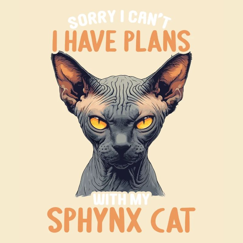 Chaton Sphynx Chat Sphynx