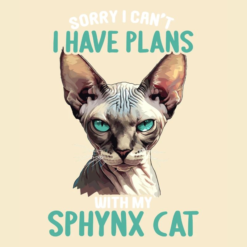 Chaton Sphynx Chat Sphynx