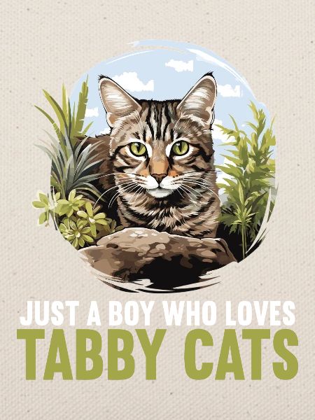 Tabby Kätzchen Tabby Katze