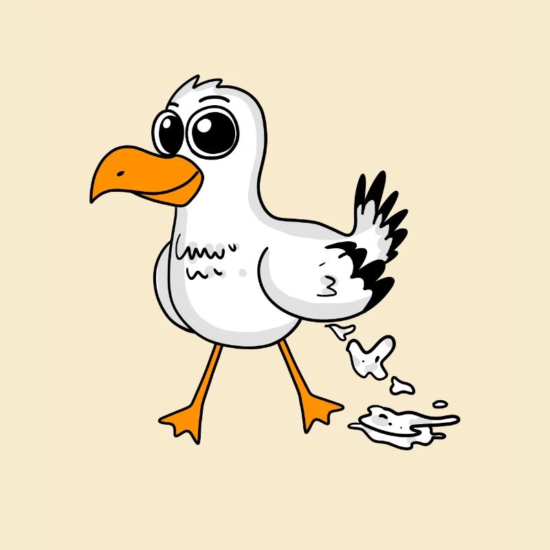 Möwe Lustig Motiv