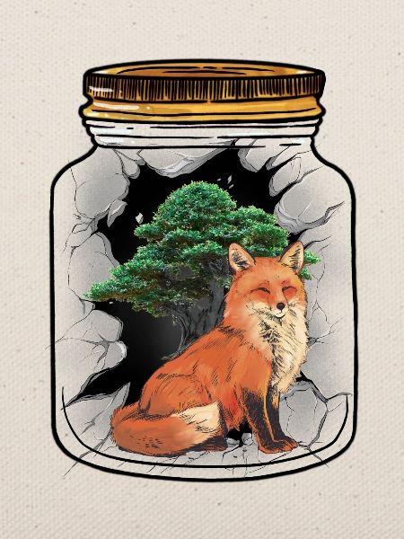 Fuchs Füchse Waldbewohner Baum