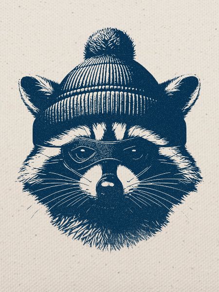 Räuber Waschbär