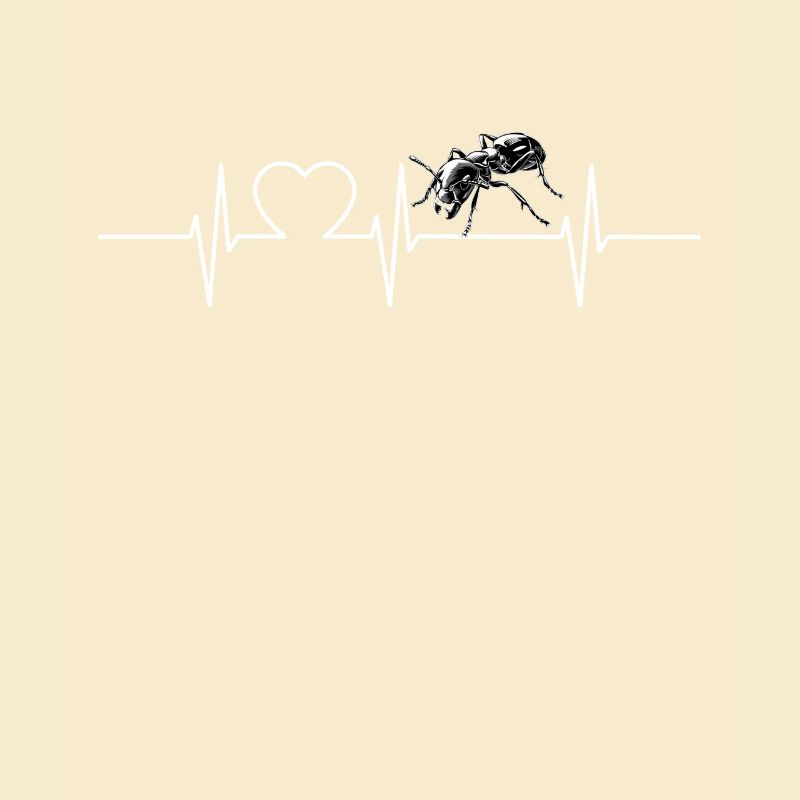 Fourmis fourmis
