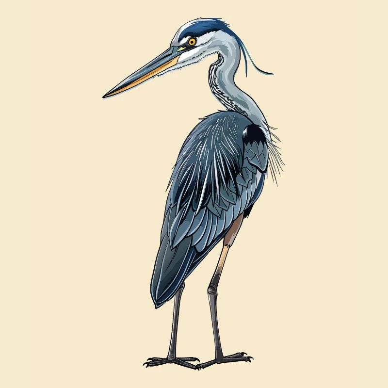 Blaureiher