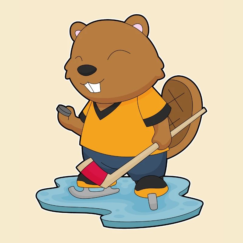 Biber Eishockey Eishockeyschläger