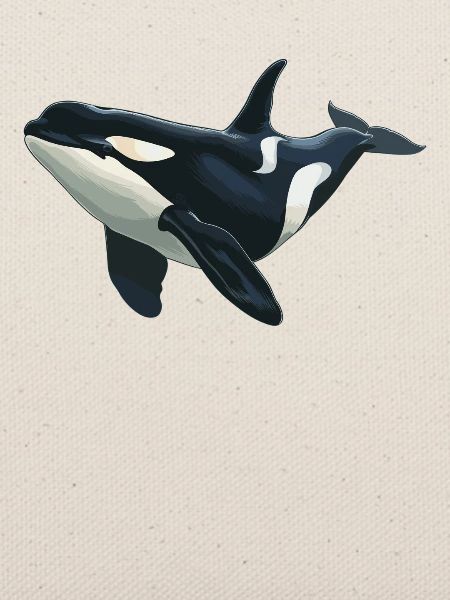 Orcas Orca