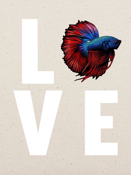 Bettas Betta Fisch Betta