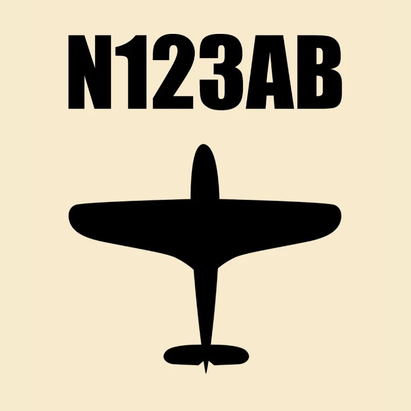 Custom Aviation - Flugzeug - Luffahrt - Pilot