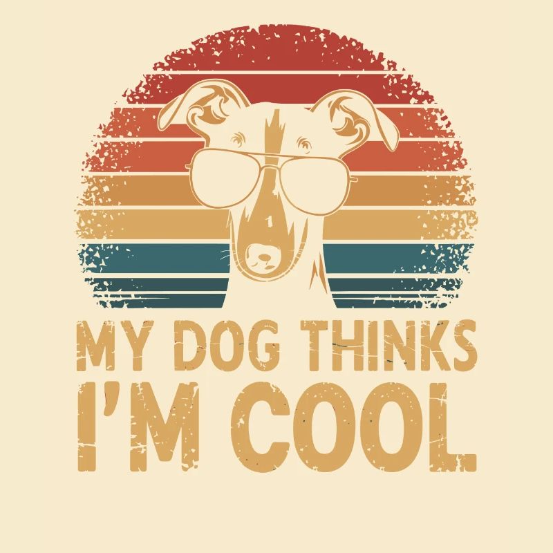 Whippet Mon chien pense que je suis cool