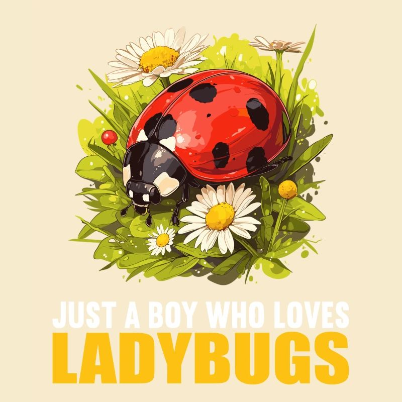 Ladybug Marienkäfer