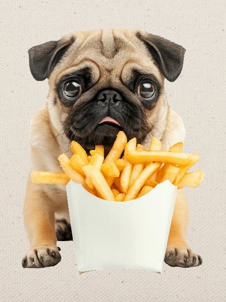 Mops