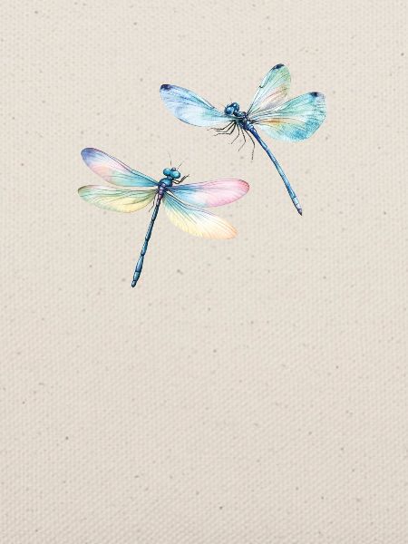Libelle Duo Dragonfly Duo