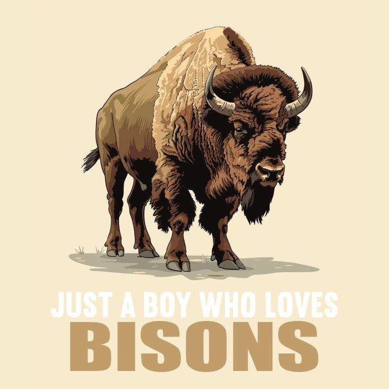 Bisons Bison