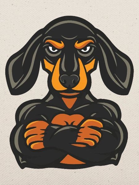 Hund Pinscher Dog