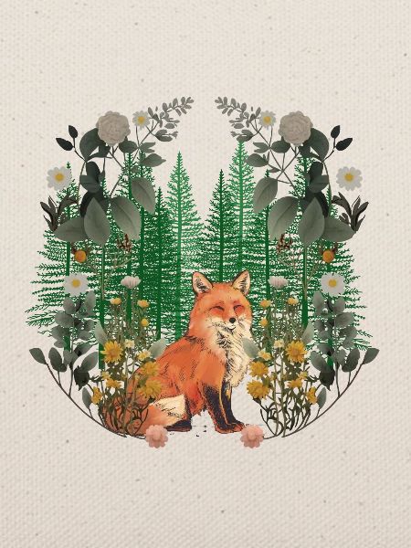 Fuchs Füchse Wald Waldtiere Waldbewohner