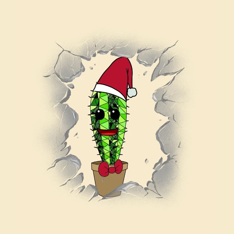 Saint-Nicolas Belle-mère Noël Cactus