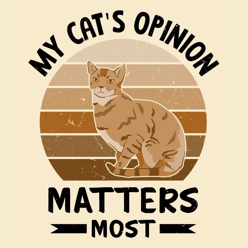Witziger Katzen Spruch