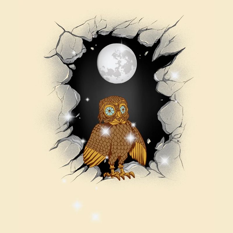 Eule Eulen Mond