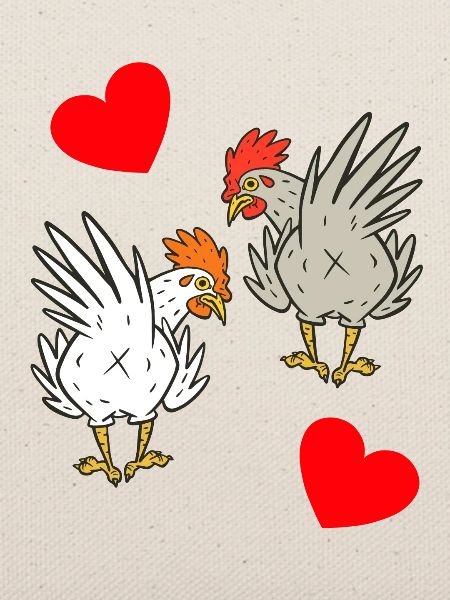 Huhn Hühner Federvieh