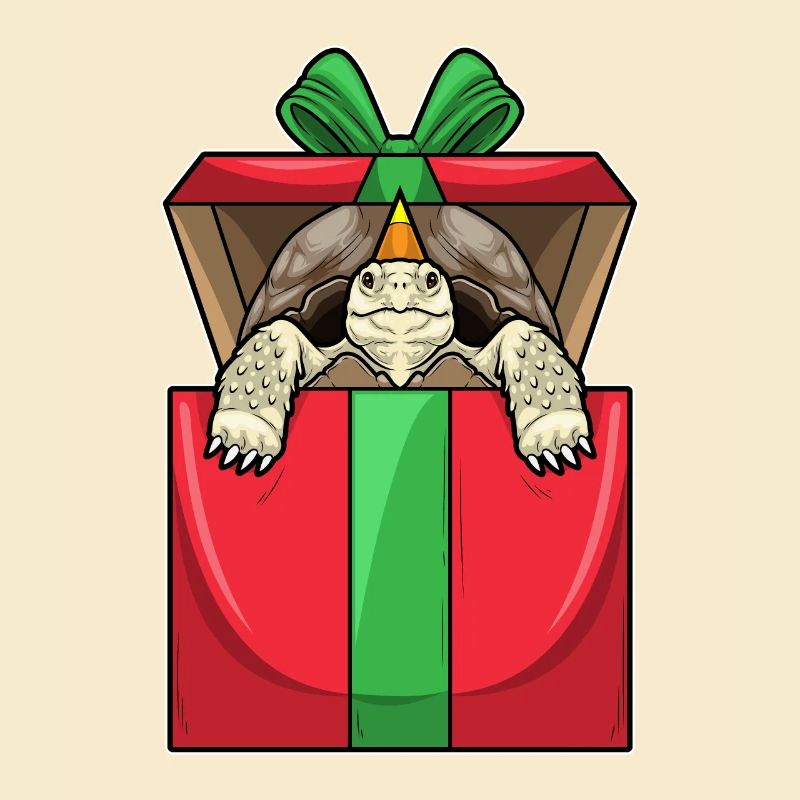 Turtle Birthday Package