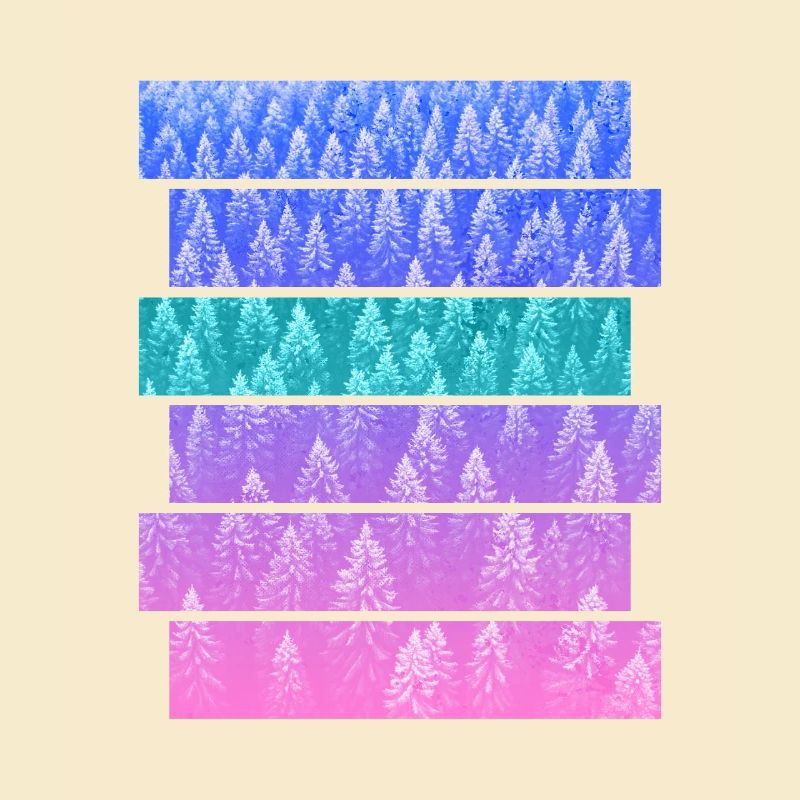 Fir