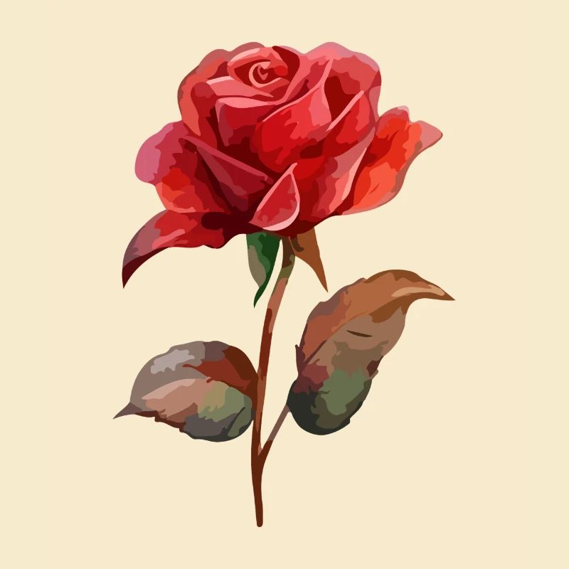 Rose Fleur Amour Saint Valentin