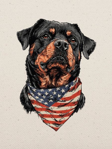 Rottweiler