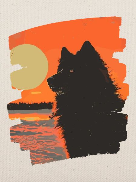 Finnischer Lapphund