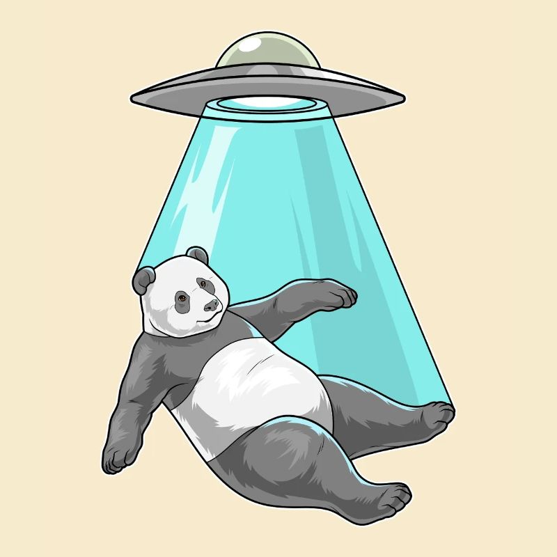 Vaisseau spatial Panda