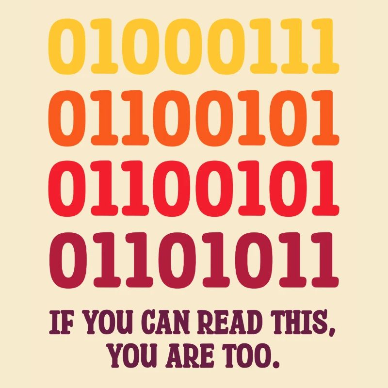 IT Geek, Accessoires PC Périphériques de stockage Evolution