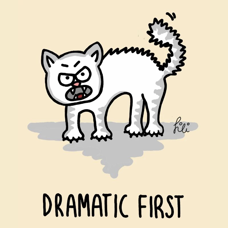 Dramatic First – Cat in Drama Mode