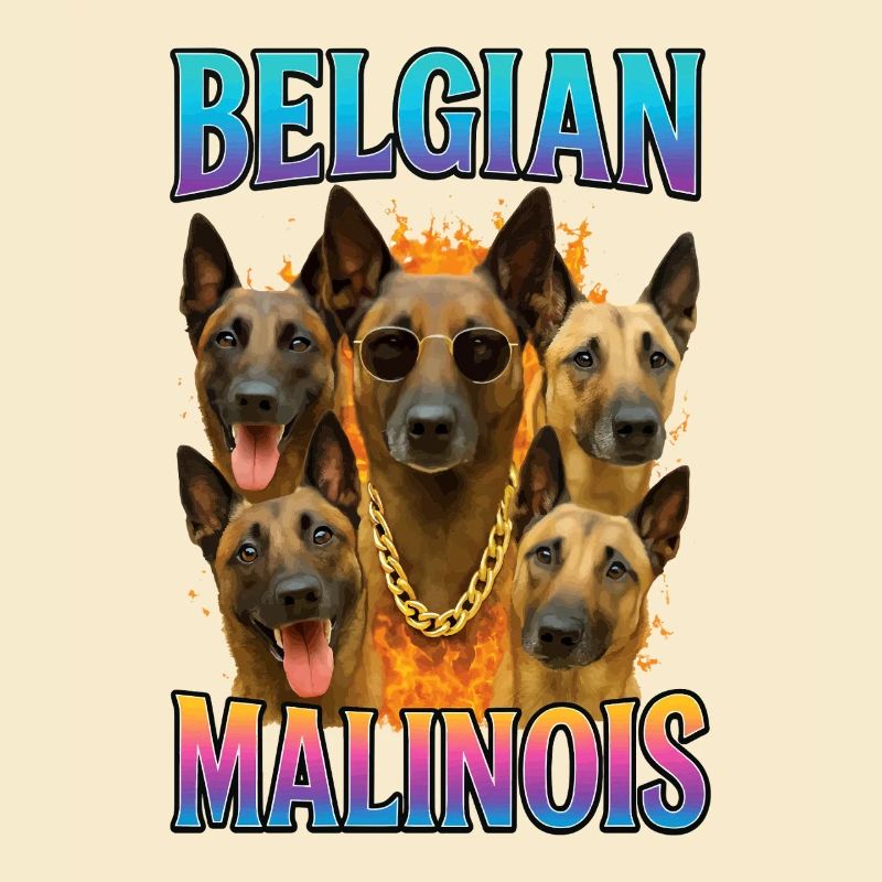 Belgischer Malinois