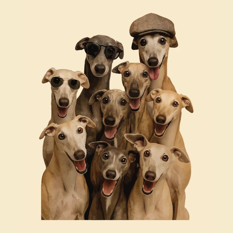 Windhund