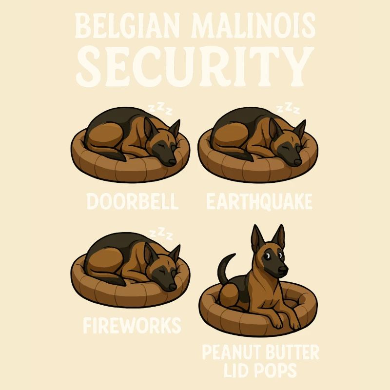 Belgischer Malinois