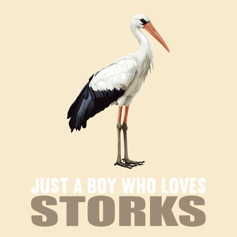 Storks Stork