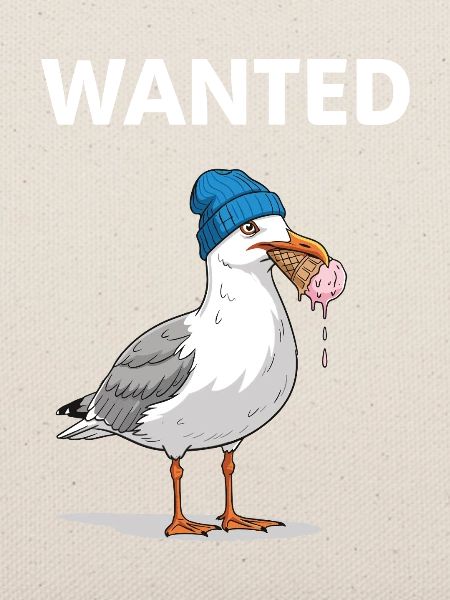 Gesucht Möwe Eiscreme Abenteuer