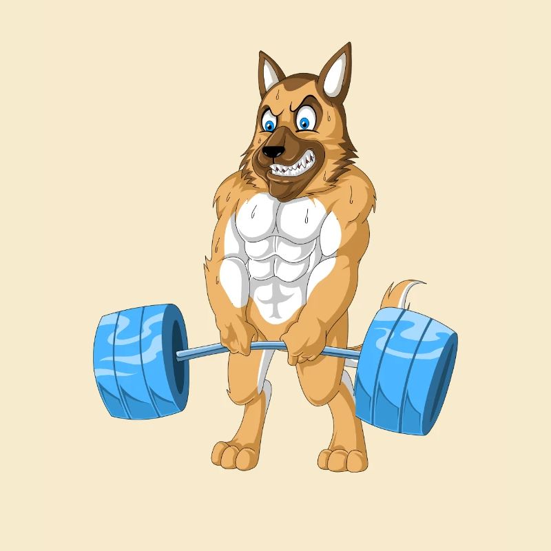 German Shepherd Weightlifting
