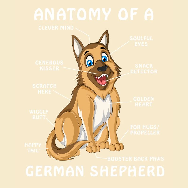 German Shepherd Anatomy