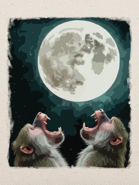 Mond und Pavian Nachthimmel