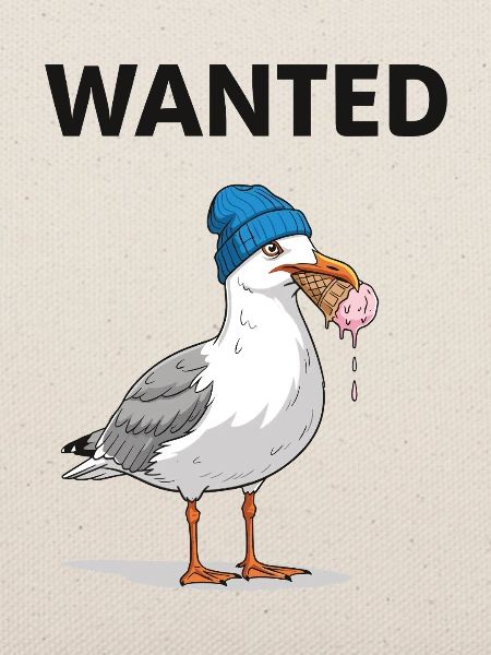 Gesucht Möwe Eiscreme Abenteuer
