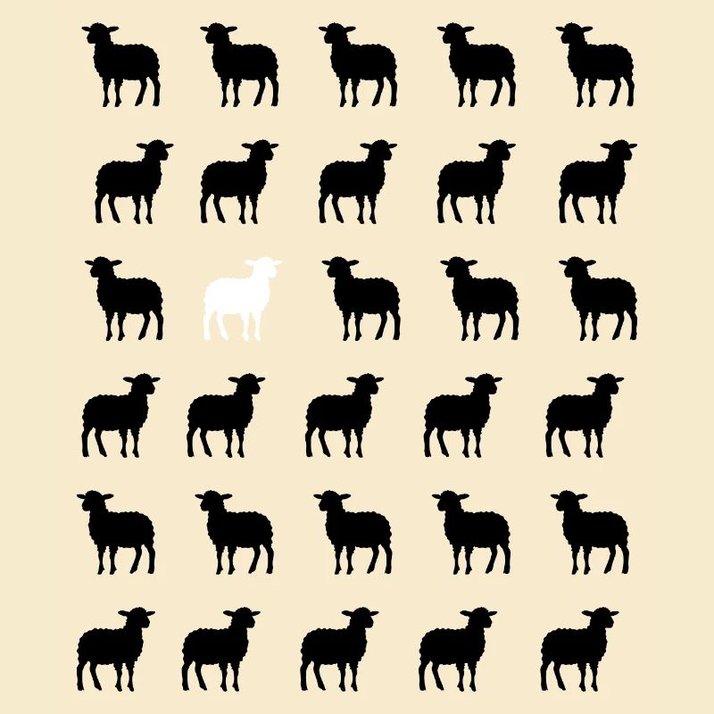 Schwarz-Weißes Schaf