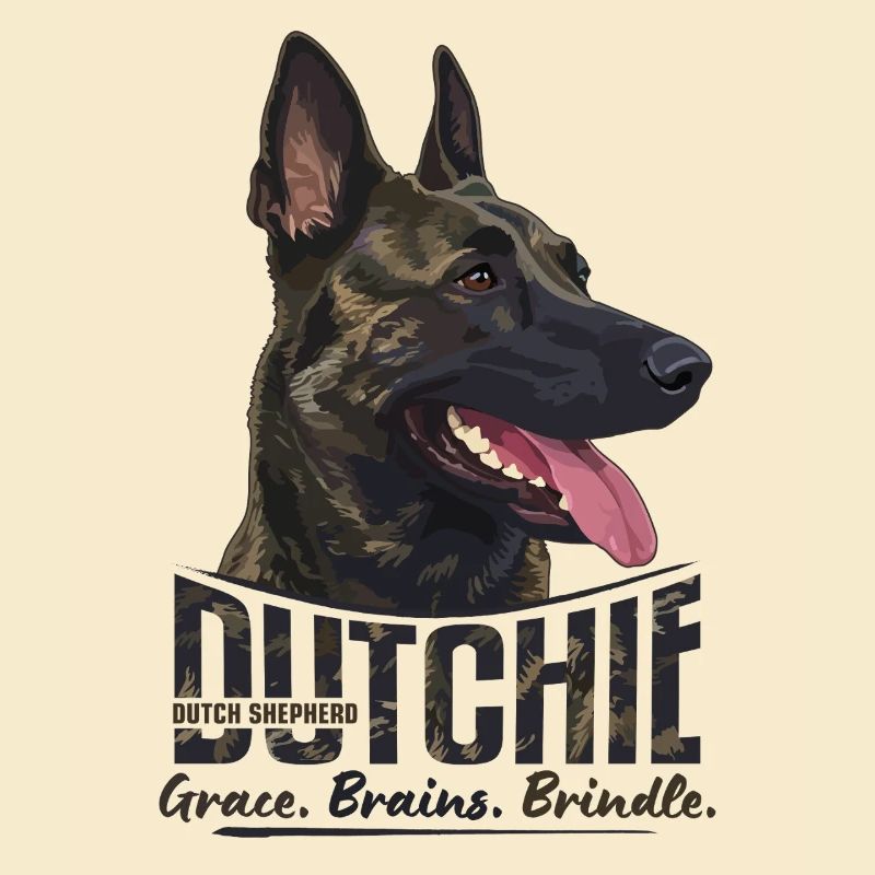 Dutchie - Holländischer Schäferhund