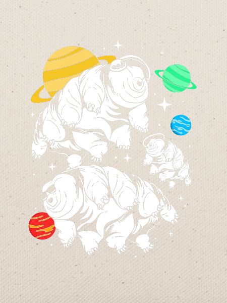 Tardigrade Tardigrades Bärtierchen Wasserbär
