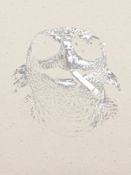 Schildkröte mit Sonnenbrille und Zigarette