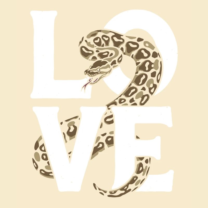 King Python Snakes LOVE Terrarium Python