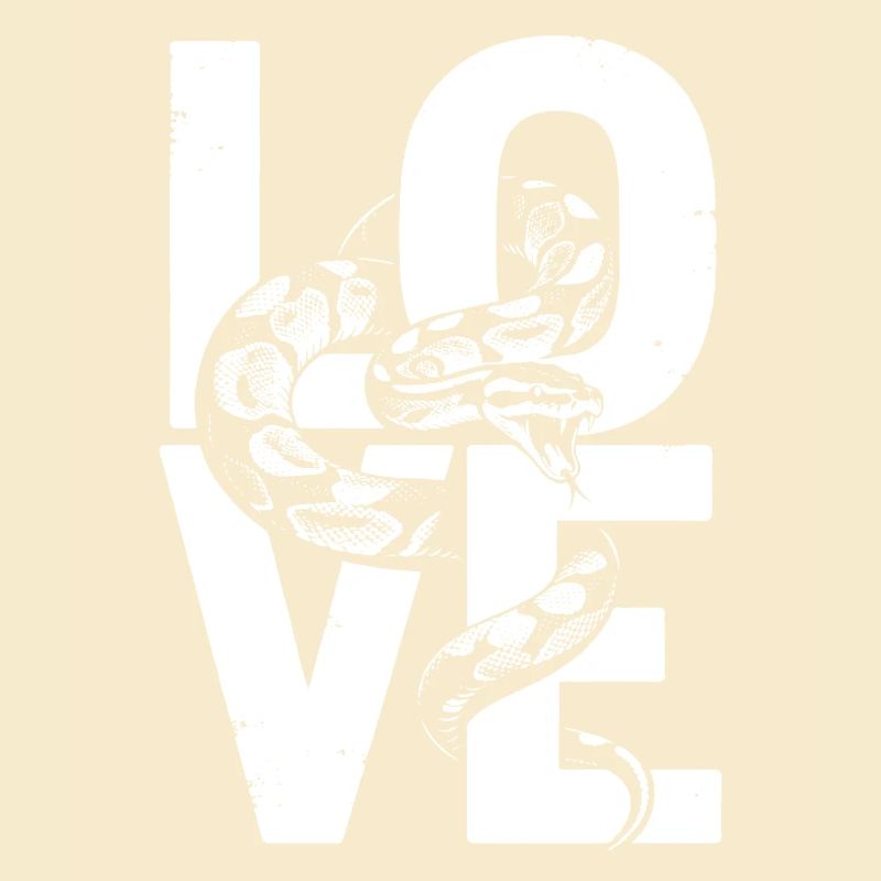 King Python Snakes LOVE Terrarium Python