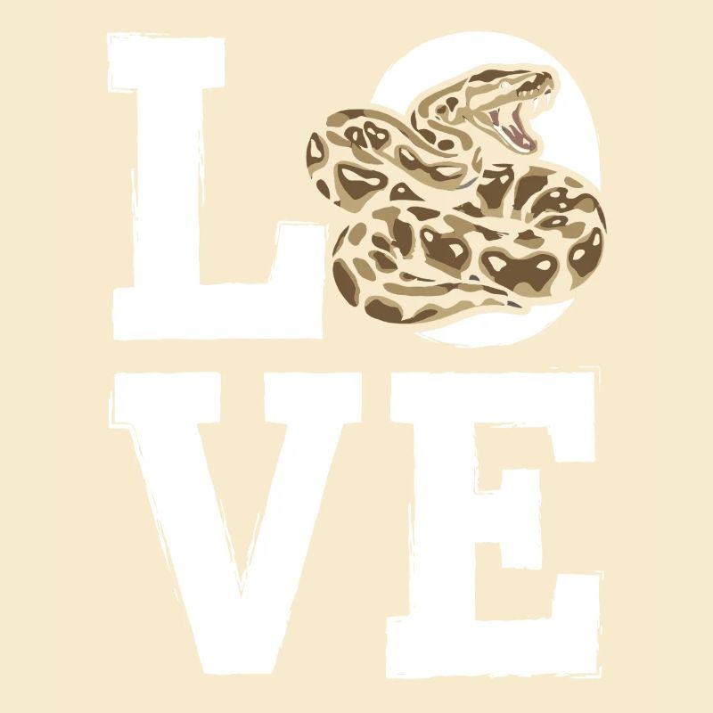 King Python Snakes LOVE Terrarium Python