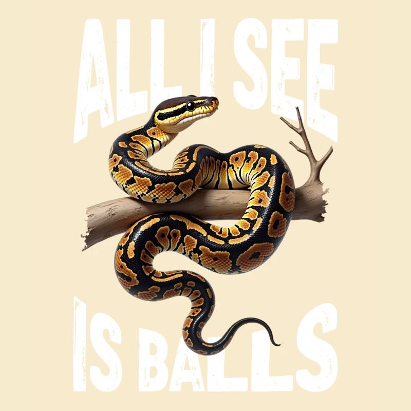 Python roi Serpents Amateurs de terrarium Python