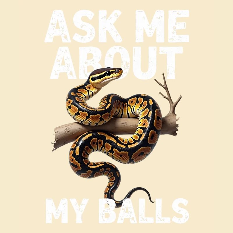 Python roi Serpents Amateurs de terrarium Python